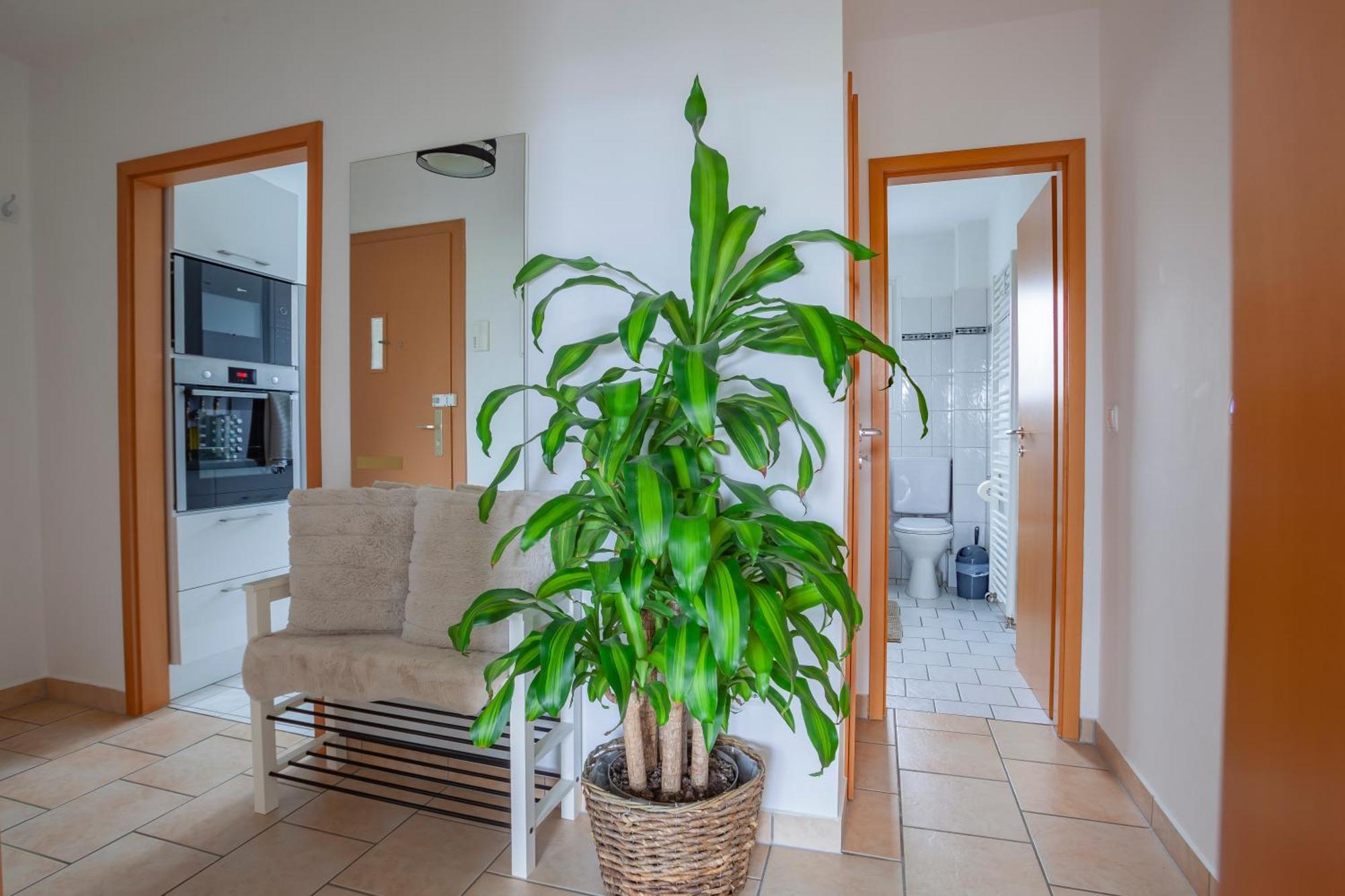 Exclusive 2-Room-City-Apartment - Contactless Check-In Hanower Zewnętrze zdjęcie